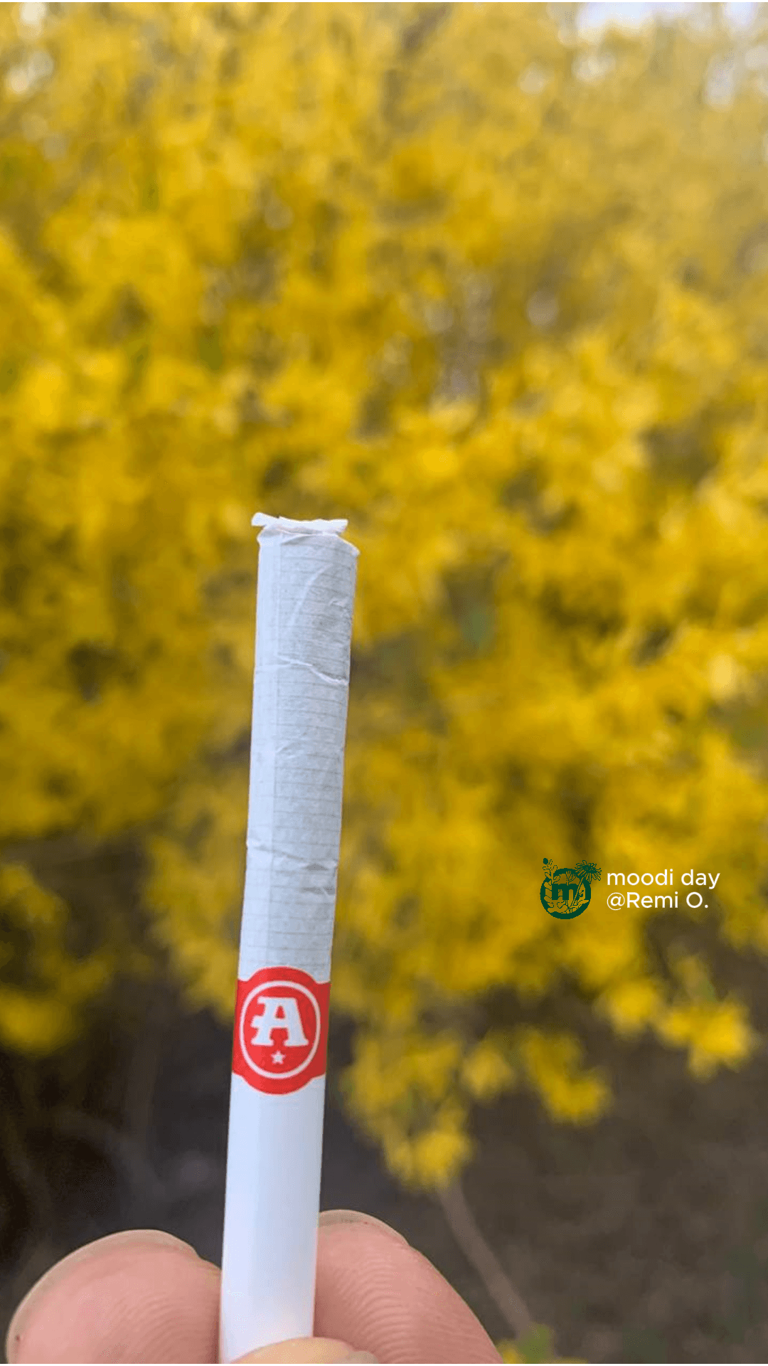 Anthem Indica Blend [.35g]